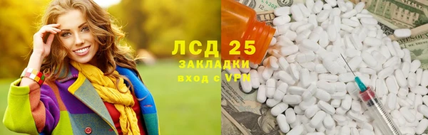 крисы Алзамай