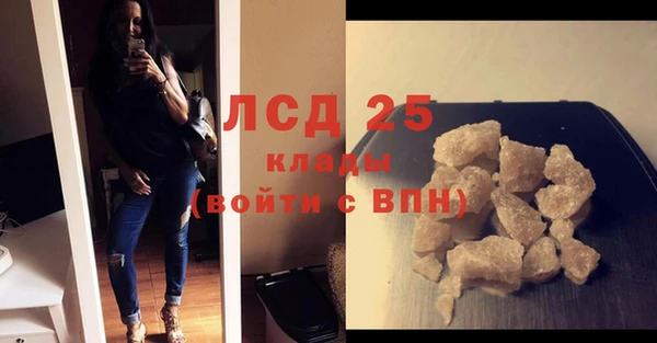 крисы Алзамай