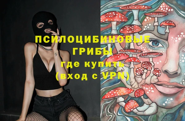 крисы Алзамай