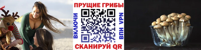 Галлюциногенные грибы мухоморы  Сасово 